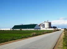 Tafraoui Sugar Refinery, Algeria