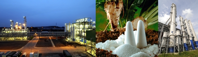 Bio-Ethanol Sugar beet