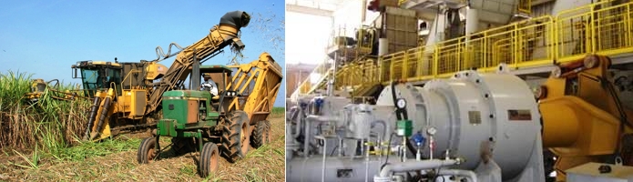 Bio-Ethanol Sugar cane-Sweet sorghum