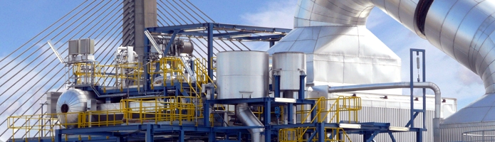 Biomass Valorisation