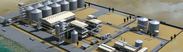 Edible Oils Vegetable Oil extraction-3