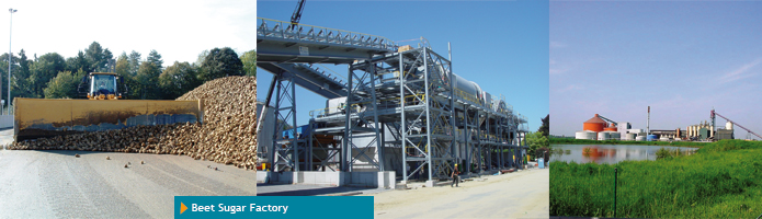 Beet Sugar Factory
