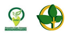 alexandria-logo