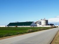 TAFRAOUI Sugar Refinery, Algeria