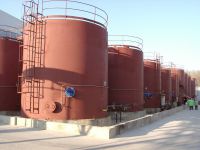 ALEKSEEVSKA Oil Mill – C.I.S., Russia