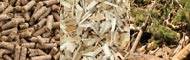 biomass